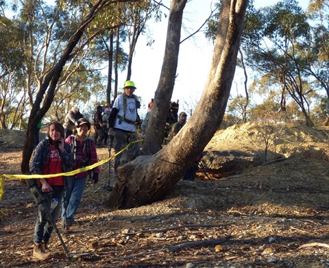 Wedderburn Jamboree 2020.jpg