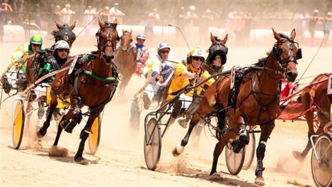 Wedderburn Pacing & Trotters Cup