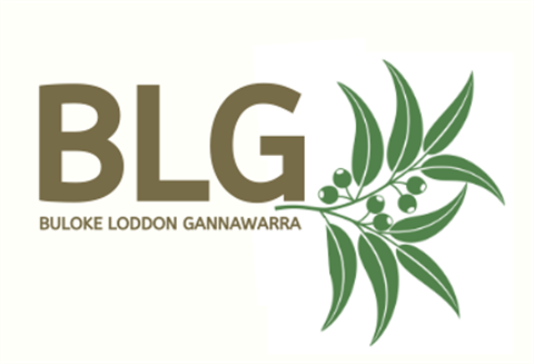 BLG-logo.png