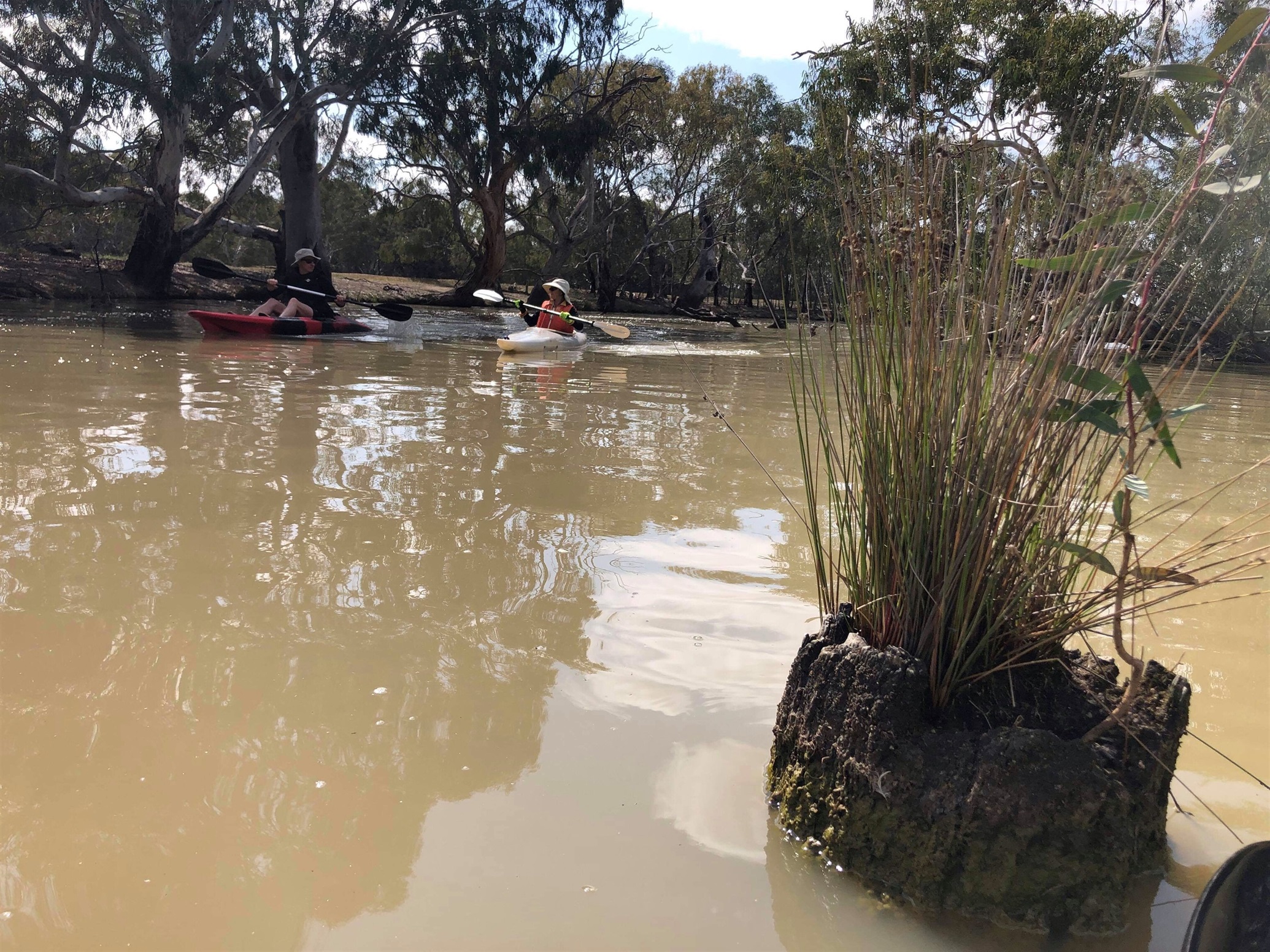 Boort Lake canoes 2