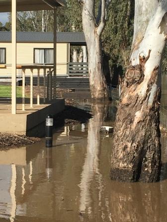 Flood-Bridgewater-caravan-park-20160915-sm.jpg